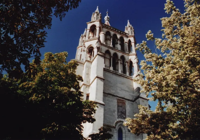 © CC Alessio Maffeis