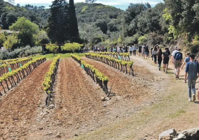 Dans les Cévennes, « a marché, beaucoup marché ». ©Jean-Marc Spothelfer