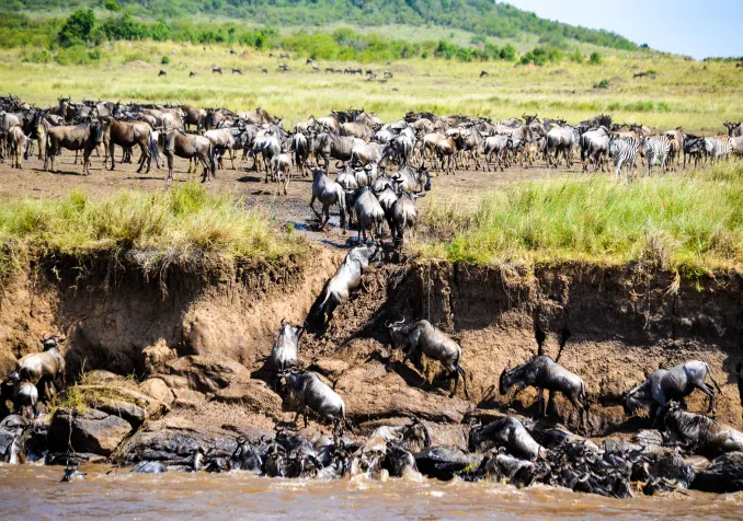 @istock/Bibhash Banerjee