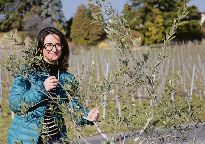 © Patrick Gilliéron Lopreno