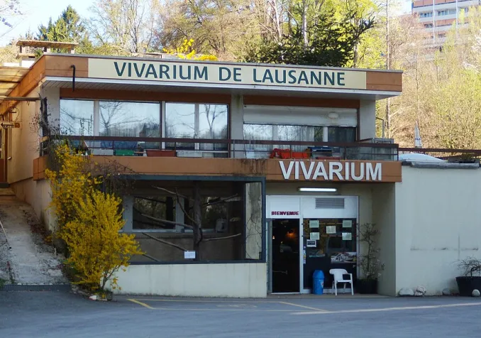 ©Gzzz, CC BY-SA 3.0 Wikimedia Commons