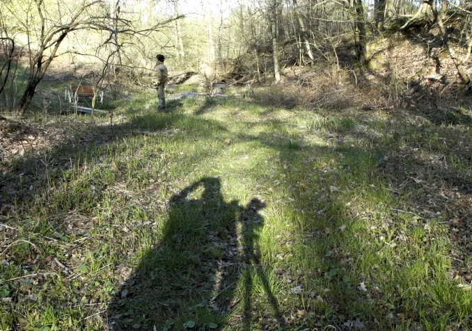 «Grass» / While the Green Grass Grows ©Peter Mettler