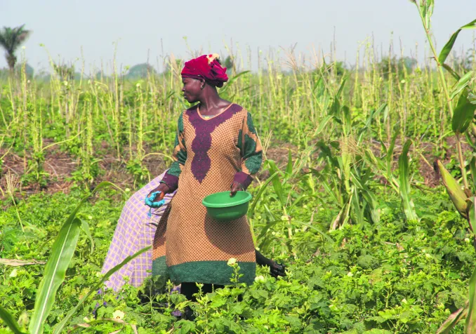 © DM Echange et mission