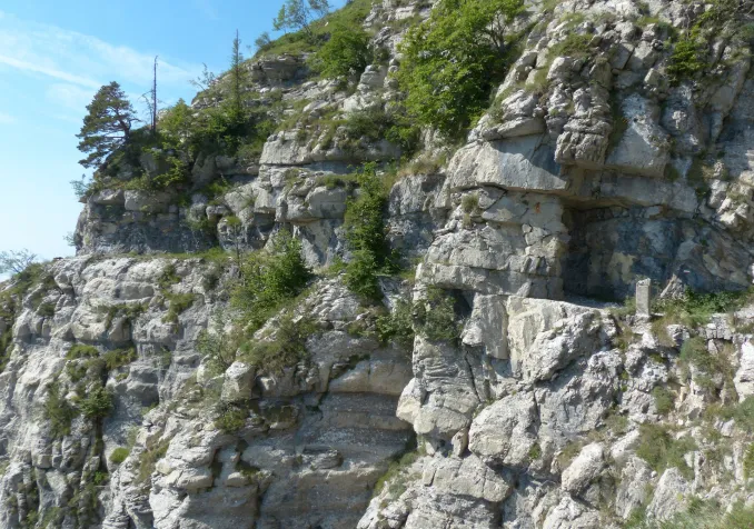 Laisser travailler la vie… - Printemps actif 2 : L’étroit chemin du travail Chemin étroit