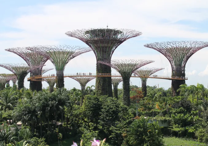 Singapour Gardens by the bay entre artificialité et idéalisation de la nature Singapour entre artificialité et idéalisation de la nature. Photo Gilles Bourquin