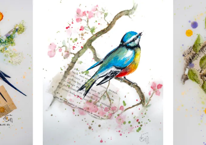 "Oiseaux de passage" Une exposition de Anne Cernigoi