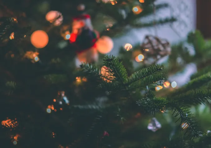 Des livres pour Noël - www.protestant-edition.ch christmas tree-craig-adderley-1671867.jpg