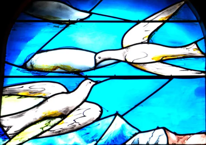 Alexandra Urfer Jungen