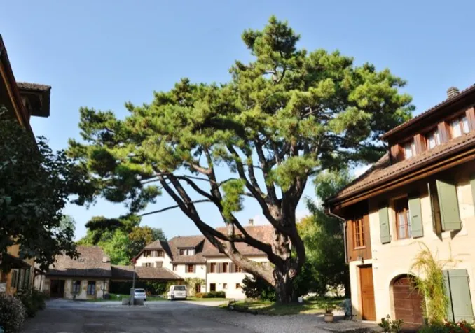 Communauté de Grandchamp (©Alexandra Urfer Jungen)