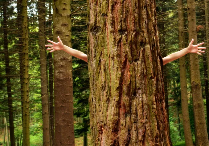 © Flickr cc CC BY 2.0 / Marina Del Castell