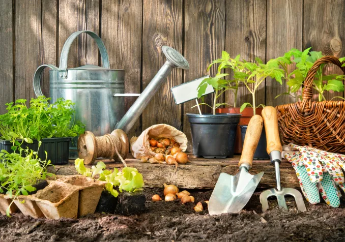 La vie en vert ©iStock/AlexRaths