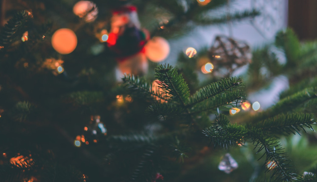 Des livres pour Noël - www.protestant-edition.ch Des livres pour Noël - www.protestant-edition.ch / christmas tree-craig-adderley-1671867.jpg