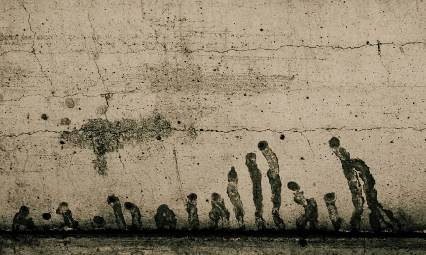 CC (by-nc-nd) Evan Lavine