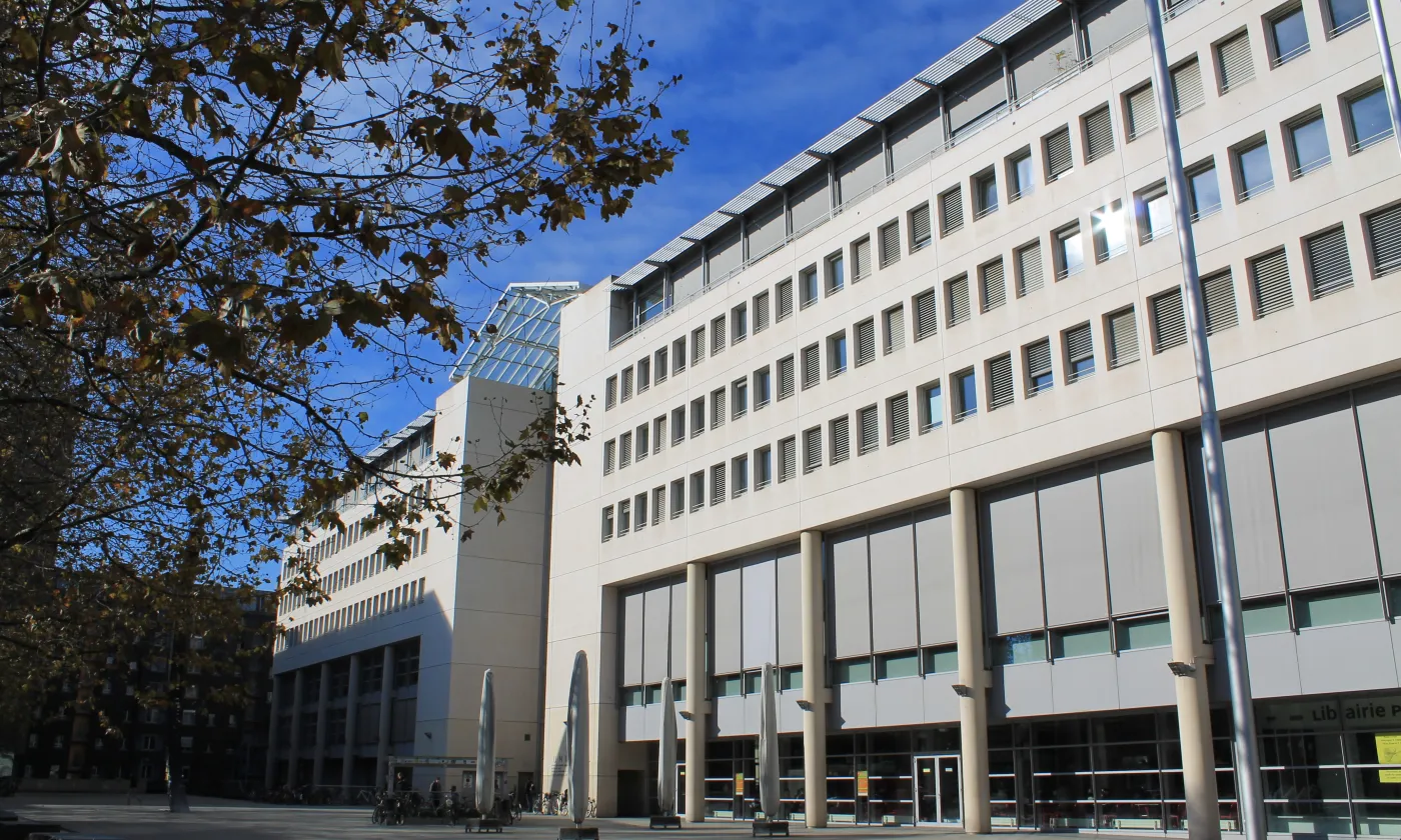 © CC Flickr/Patrick Nouhailler