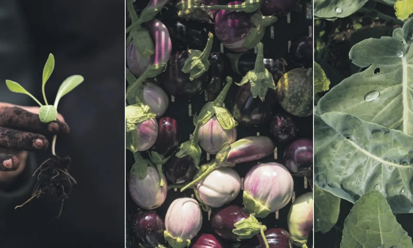 La ferme de Praz Bonjour. Ses fondateurs ont animé un atelier de préparation à la campagne œcuménique de carême en décembre 2022. © Joachim Sommer