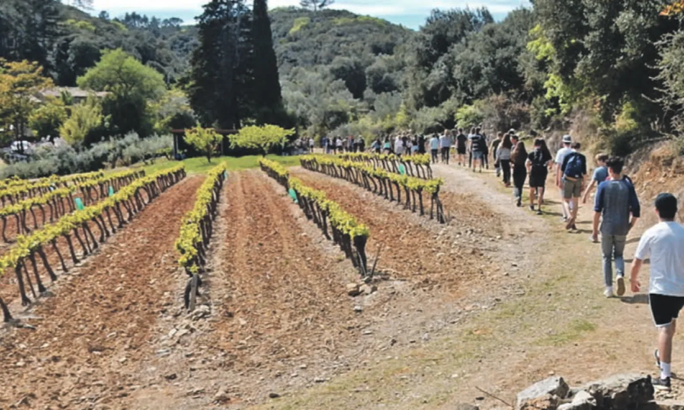 Dans les Cévennes, « a marché, beaucoup marché ». ©Jean-Marc Spothelfer