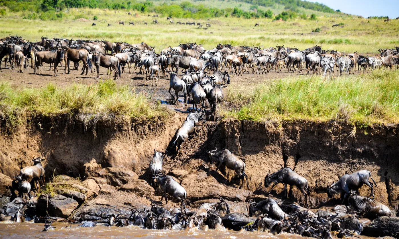 @istock/Bibhash Banerjee