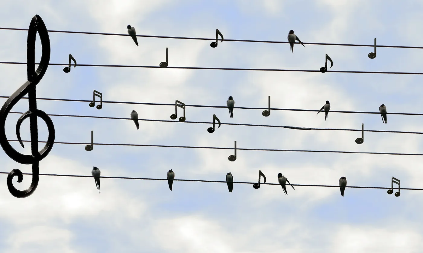 Le chant peut être méditation, lorsqu'il vise l'apaisement. Pixabay