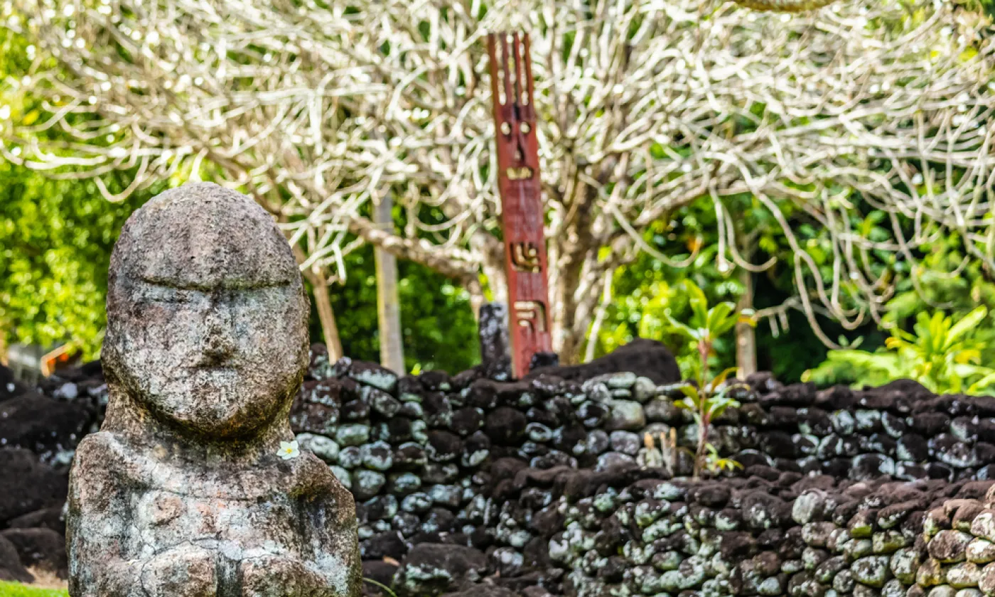 Unu polynésien ©iStock