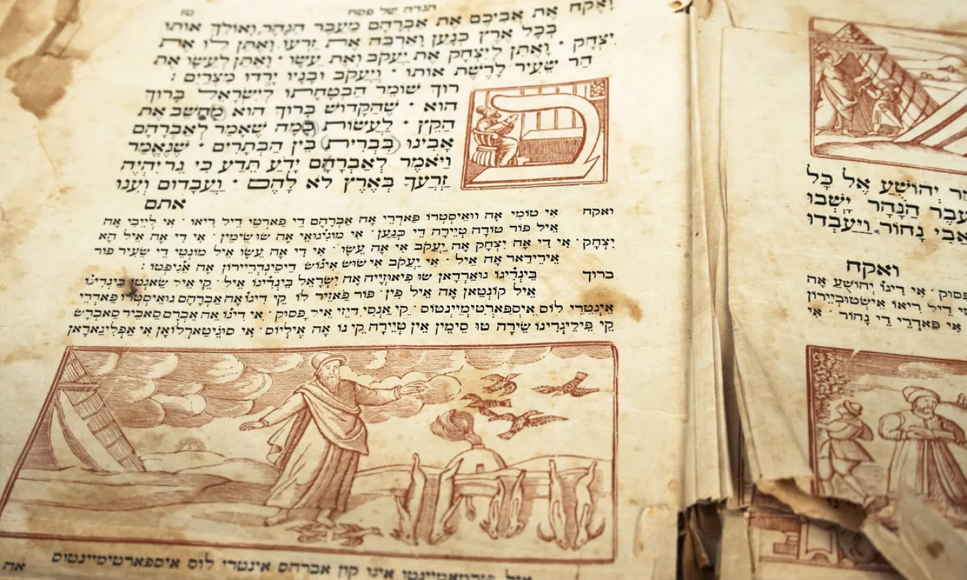 ©Stella Levi/iStock