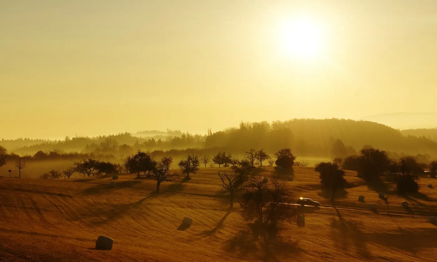 L'automne, encore des chances de réussite, ou bientôt la fin ? L'automne, encore des chances de réussite, ou bientôt la fin ?