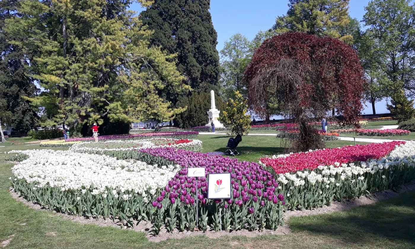 Fête des tulipes, Morges Fête des tulipes, Morges