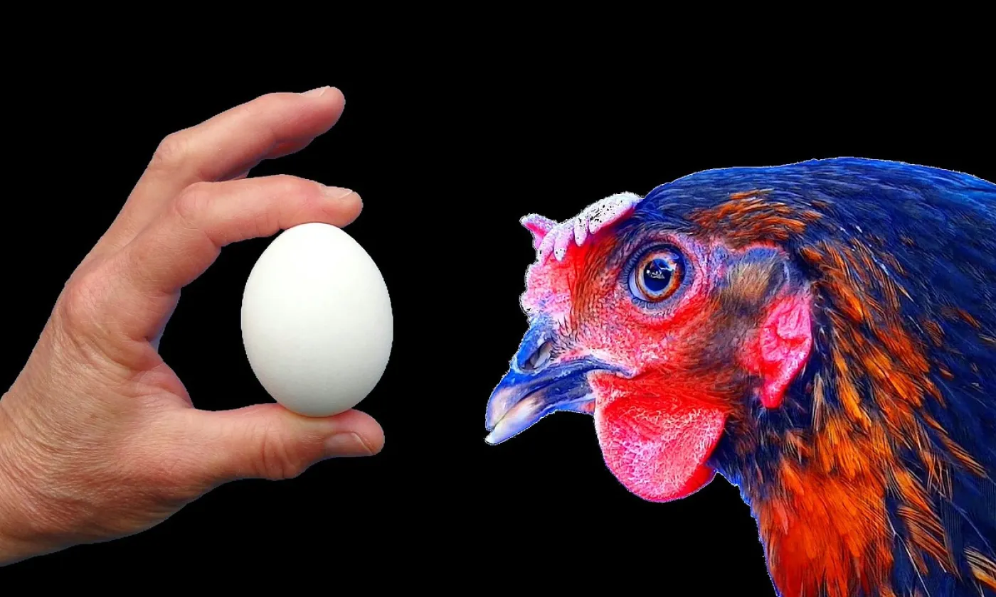 La question de la poule et de l’œuf: les paroisses meurent-elles parfois parce qu’on a créé les régions artificiellement à leurs dépens ou bien a-t-on voulu compenser la mort des paroisses en créant les régions? CC0 Papynoun / Pixabay