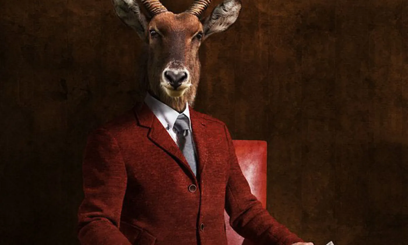 Photos: Jean-Sébastien Monzani / Concept: Unicom / UNIL / La Grange de Dorigny 2013 Photos: Jean-Sébastien Monzani / Concept: Unicom / UNIL / La Grange de Dorigny 2013