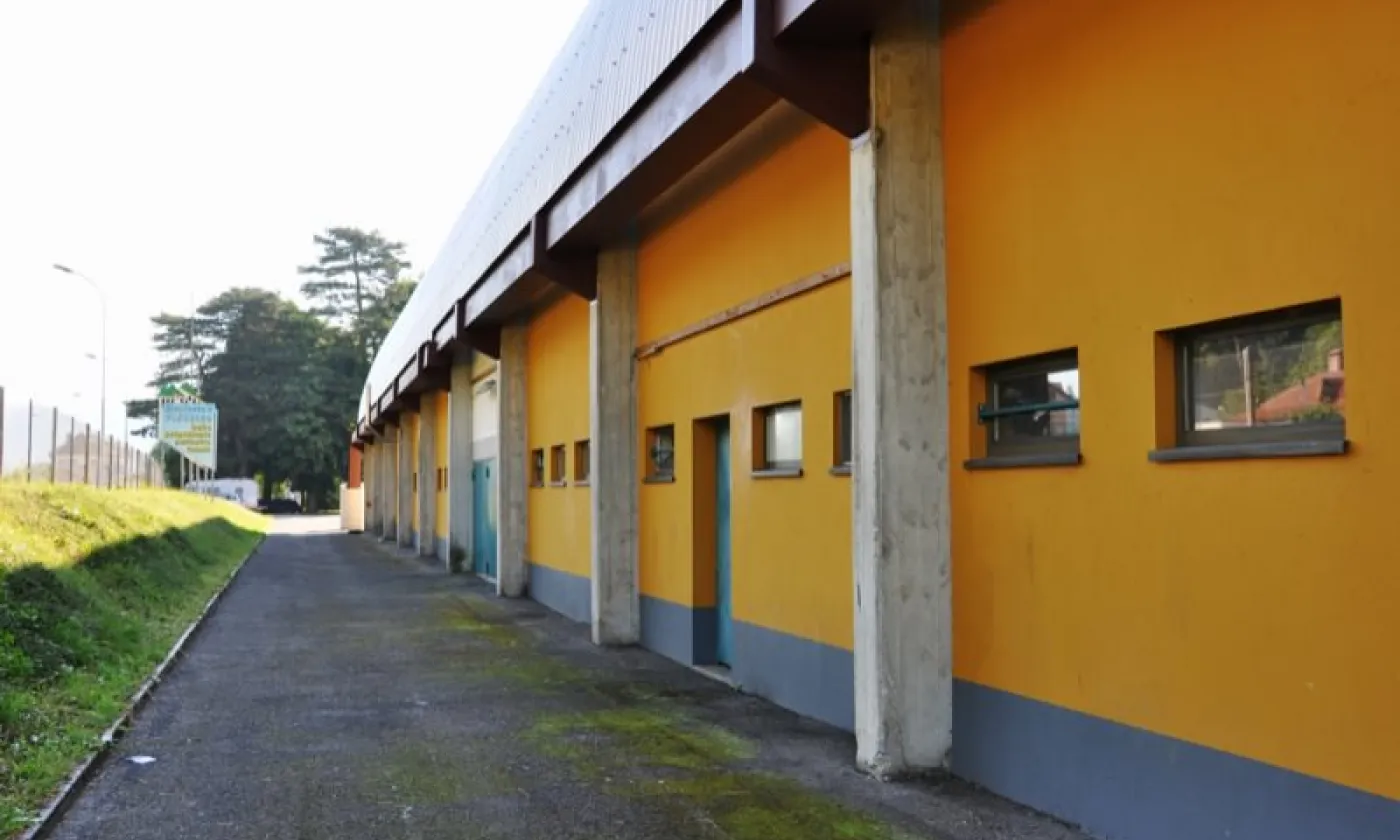 Alexandra Urfer Jungen