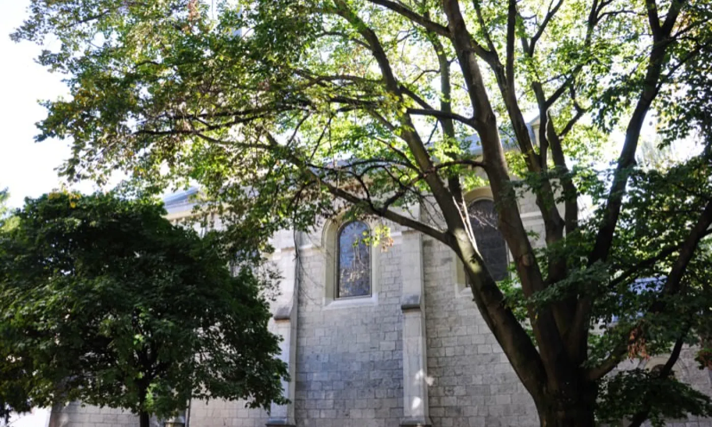 Alexandra Urfer Jungen